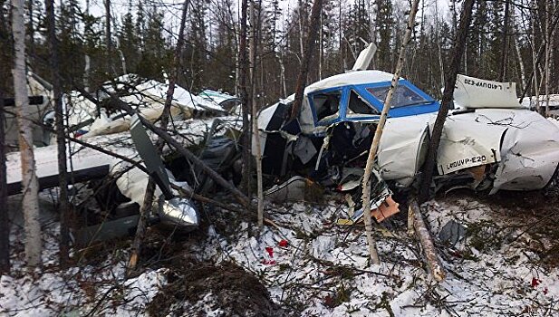 Началась расшифровка "черных ящиков" упавшего самолета L-410