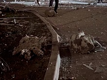 Четыре человека пострадали при ударе ВСУ по Ростовской области