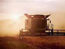 "Ростелеком" поможет аграриям получить доступ к технологиям интернета вещей и больших данных