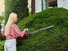 Как выбрать кусторез — характеристики и подборка моделей