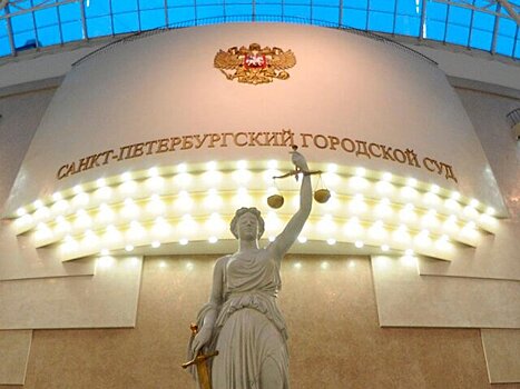 Утопившая ребенка в тазу блогер из Петербурга арестована на два месяца