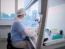 Индийский штамм COVID впервые нашли в России