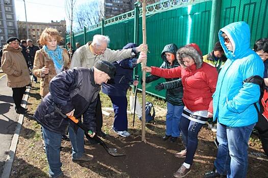 Жители Фили-Давыдково приняли участие в акции «Миллион деревьев»