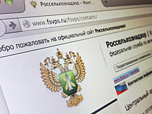 В феврале в РФ были уничтожены 22 тонны "санкционки"