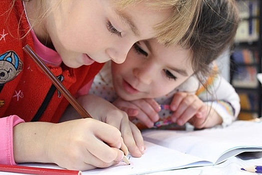 Школьников Мордовии учили национальному языку против воли родителей
