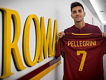 Три клуба АПЛ претендуют на Пеллегрини