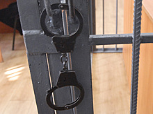 Мигрант, избивший легенду фотожурналистики, получил 2,5 года колонии