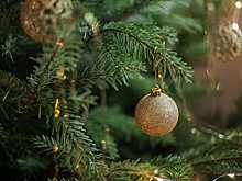 Новогоднюю елку демонтировали у станции метро «Красные Ворота» в Москве