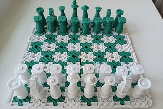 В Хабаровске студентка разработала шахматы для слепых на 3D-принтере
