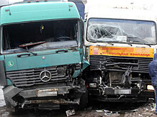 Смерть на обочине протеста