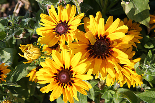 Врач-терапевт посоветовала россиянам, как избежать аллергии