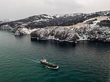 В России отреагировали на попытку Японии решить вопрос с Курильскими островами