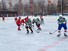 Черёмушки, Зюзино, Академический. Определились самые «хоккейные» районы округа