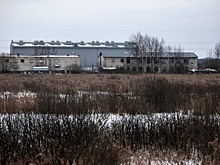 «Увидеть последний раз, он сильно болен»: в СПЧ прокомментировали жалобу матери маньяка Пичушкина