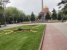 В Чили теперь растет волгоградская березка, а на Кавказе – потомки тополя-легенды