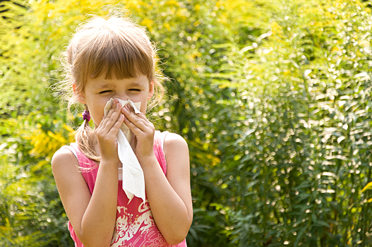 В детских садах появятся группы для детей-аллергиков
