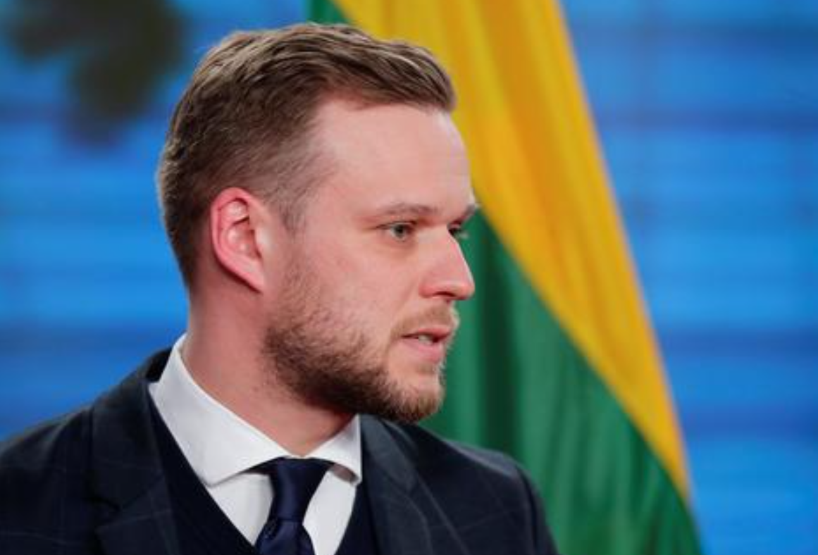 СМИ: глава МИД Литвы приедет в Киев