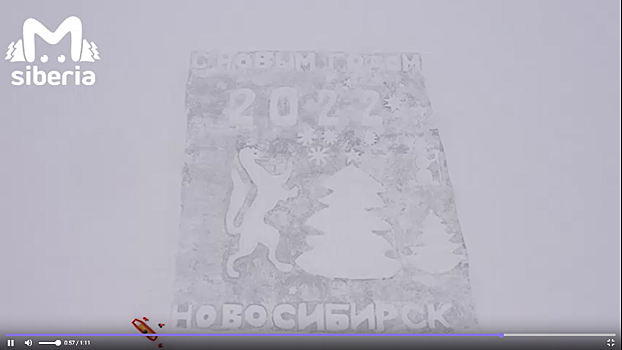 В Новосибирске создали 50-метровую ледовую открытку в память об амурском художнике Валерии Мельникове
