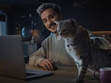 Mars Petcare показал, почему Дима Билан не спит по ночам (и достоин награды за этот подвиг)