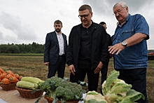 В Челябинской области разработают комплексную систему развития овощеводства