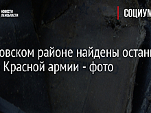 В Кировском районе найдены останки бойца Красной армии - фото