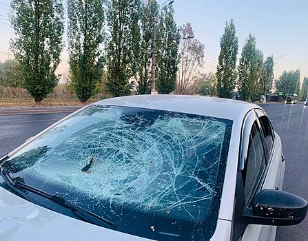 В Курской области вылетевший камень пробил лобовое стекло автомобиля