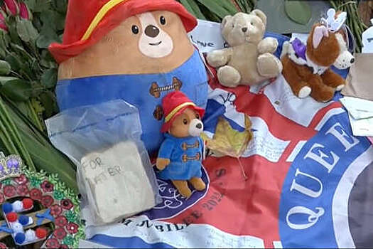 Игрушки в виде медвежонка Паддингтона с похорон королевы пойдут нуждающимся детям