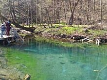 Вдоль трассы М-7 благоустроят дикие пляжи от Октябрьского до Щурячьего