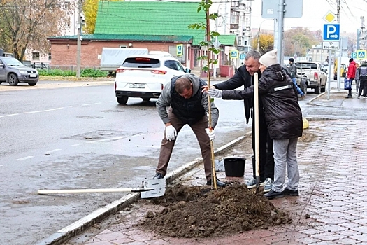 В Рязанской области высадили сотни деревьев