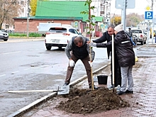 В Рязанской области высадили сотни деревьев