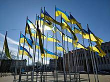 В Германии выступили против вступления Украины в НАТО и Евросоюз