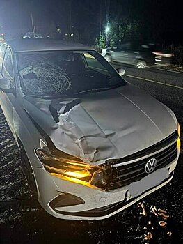 На уральской трассе водитель насмерть сбил 55-летнюю женщину и скрылся