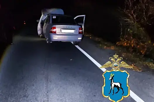 На трассе в Самарской области в темноте насмерть сбили пешехода