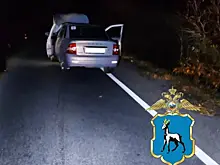 На трассе в Самарской области в темноте насмерть сбили пешехода
