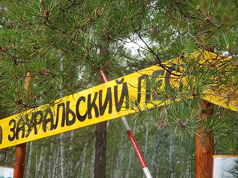 Что в Красной книге, а что — деликатес: о растениях расскажут на экологической тропе «Зелёный лес»