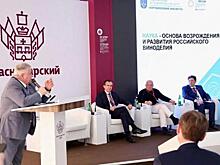 Что происходит с виноделием в Краснодарском крае: показатели с ПМЭФ