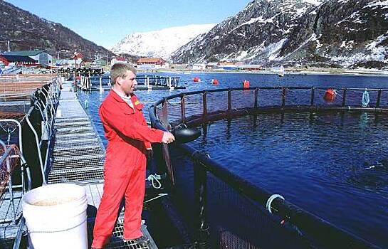 Норвегия открывает границы