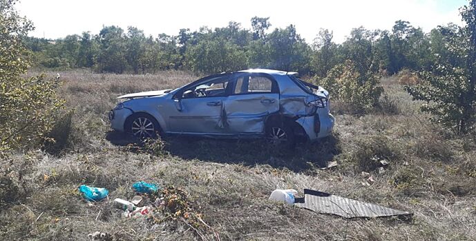 Оса стала причиной смертельного ДТП в Чертковском районе