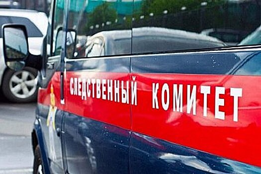 Против двух сотрудников ДПС возбудили уголовное дело в Хабаровске