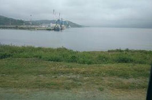 Для развития портовой зоны в бухте Троицы (Зарубино) нужны дополнительные энергомощности