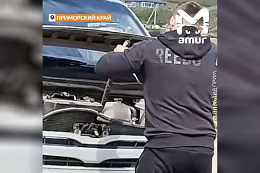 В Приморье мужчина извлек из-под капота автомобиля змею