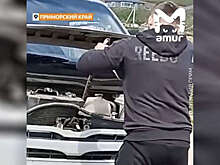 В Приморье мужчина извлек из-под капота автомобиля змею