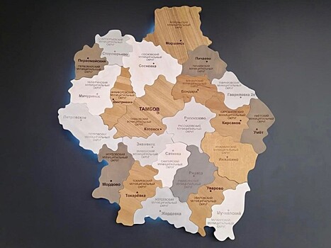 В Тамбовской области поддерживают ответственный бизнес при проведении госзакупок