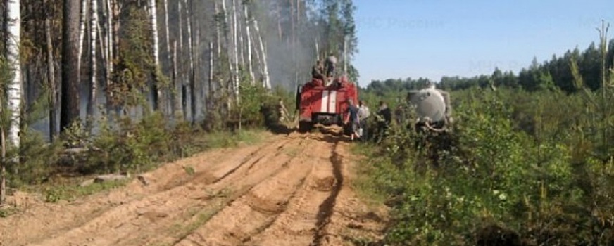 Текущий год в Ульяновске отмечен ростом количества пожаров