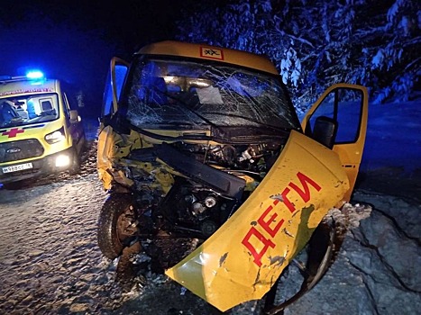 Человеческий фактор: начальник ГАИ Удмуртии прокомментировал ДТП со школьным микроавтобусом в Увинском районе