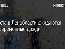 5 августа в Ленобласти ожидаются кратковременные дожди