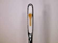 Авторы Книги рекордов Гиннеса отказали новосибирцу в заявке