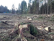 Как поссорились Николай Николаевич с Александром Глебовичем