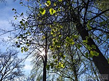 "Погрелись зимой": главный тверской синоптик рассказала о погоде на май-июнь