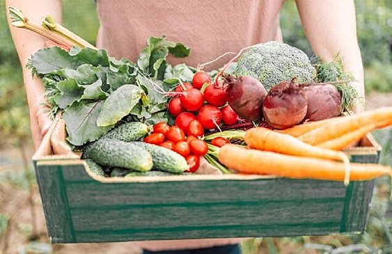 Диетолог назвала продукты, улучшающие иммунитет осенью